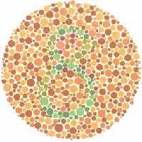 colorblind4.jpg