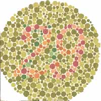 colorblind6.jpg